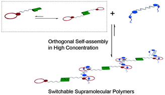 Graphical abstract: Switchable supramolecular polymers from the orthogonal self-assembly of quadruple hydrogen bonding and benzo-21-crown-7–secondary ammonium salt recognition