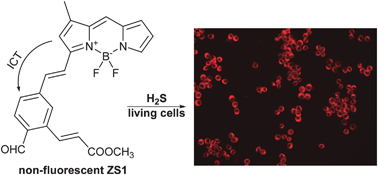 Graphical abstract: An ICT-based fluorescent switch-on probe for hydrogen sulfide in living cells