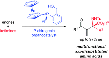 Graphical abstract: P-chirogenic organocatalysts: application to the aza-Morita–Baylis–Hillman (aza-MBH) reaction of ketimines