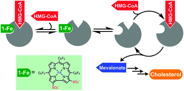Graphical abstract: Allosteric inhibitors of HMG-CoA reductase, the key enzyme involved in cholesterol biosynthesis