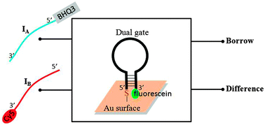Graphical abstract: An optical deoxyribonucleic acid-based half-subtractor