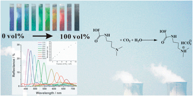 Graphical abstract: Full-color CO2 gas sensing by an inverse opal photonic hydrogel