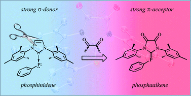 Graphical abstract: Phosphaalkene vs. phosphinidene: the nature of the P–C bond in carbonyl-decorated carbene → PPh adducts