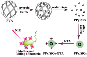 Graphical abstract: Functional polypyrrole–silica composites as photothermal agents for targeted killing of bacteria