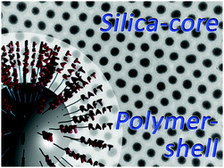 Graphical abstract: Synthesis of silica–polymer core–shell nanoparticles by reversible addition–fragmentation chain transfer polymerization