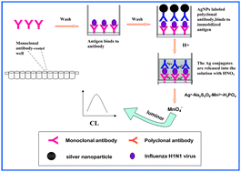 Graphical abstract: A highly sensitive chemiluminescent metalloimmunoassay for H1N1 influenza virus detection based on a silver nanoparticle label