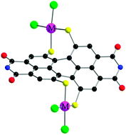Graphical abstract: Transition metal complexes of axially chiral tetrathioether bay-substituted perylene bisimide dyes