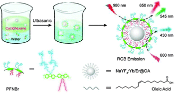 Graphical abstract: Water-soluble conjugated polyelectrolyte brush encapsulated rare-earth ion doped nanoparticles with dual-upconversion properties for multicolor cell imaging