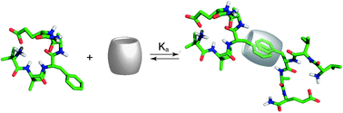 Graphical abstract: Supramolecular dimerisation of middle-chain Phe pentapeptides via CB[8] host–guest homoternary complex formation