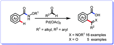 Graphical abstract: Synthesis of biaryl imino/keto carboxylic acids via aryl amide directed C–H activation reaction