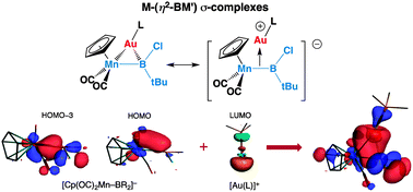 Graphical abstract: σ-Coordination of metal–boryl bonds to gold(i)