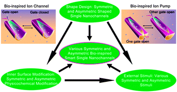 Graphical abstract: From symmetric to asymmetric design of bio-inspired smart single nanochannels