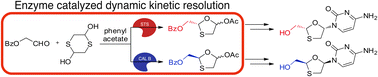 Graphical abstract: Efficient asymmetric synthesis of lamivudine via enzymatic dynamic kinetic resolution