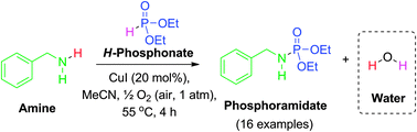 Graphical abstract: Phosphoramidate synthesis via copper-catalysed aerobic oxidative coupling of amines and H-phosphonates