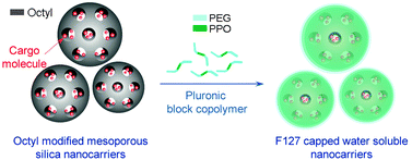 Graphical abstract: Pluronic polymer capped biocompatible mesoporous silica nanocarriers