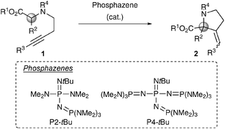 Graphical abstract: Phosphazene-catalyzed intramolecular cyclization of nitrogen-tethered alkynyl esters
