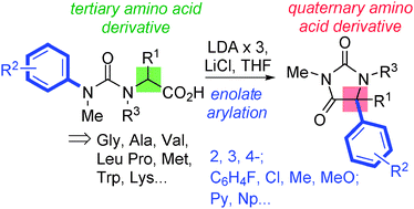 Graphical abstract: Intramolecular arylation of amino acid enolates