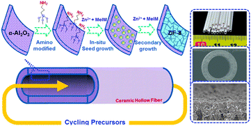 Graphical abstract: Growth of a ZIF-8 membrane on the inner-surface of a ceramic hollow fiber via cycling precursors