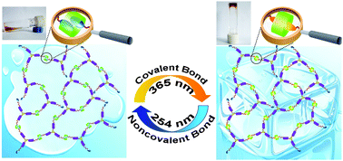 Graphical abstract: Sol–gel conversion based on photoswitching between noncovalently and covalently linked netlike supramolecular polymers