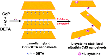 Graphical abstract: Synthesis of ultrathin CdS nanosheets as efficient visible-light-driven water splitting photocatalysts for hydrogen evolution