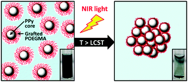Graphical abstract: Near-infrared light-triggered irreversible aggregation of poly(oligo(ethylene glycol) methacrylate)-stabilised polypyrrole nanoparticles under biologically relevant conditions