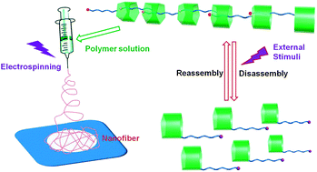 Graphical abstract: Electrospun nanofibers and multi-responsive supramolecular assemblies constructed from a pillar[5]arene-based receptor