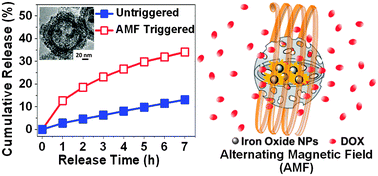 Graphical abstract: Iron oxide-loaded hollow mesoporous silica nanocapsules for controlled drug release and hyperthermia