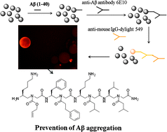 Graphical abstract: γ-AApeptide-based small-molecule ligands that inhibit Aβ aggregation