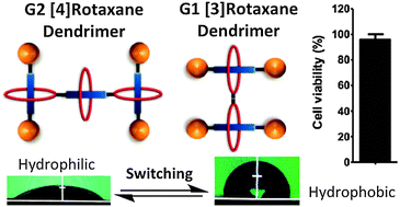 Graphical abstract: Type III-B rotaxane dendrimers