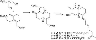 Graphical abstract: Stereoselective synthesis of (−)-lepadins A–C