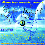 Graphical abstract: Probing the mechanism of the Ugi four-component reaction with charge-tagged reagents by ESI-MS(/MS)
