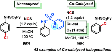Graphical abstract: Copper-catalyzed ortho-halogenation of protected anilines