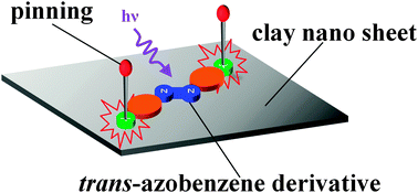 Graphical abstract: Pinning effect for photoisomerization of a dicationic azobenzene derivative by anionic sites of the clay surface