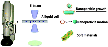 Graphical abstract: Observation of growth of metal nanoparticles