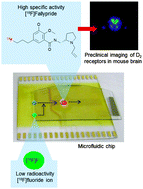 Graphical abstract: High yield and high specific activity synthesis of [18F]fallypride in a batch microfluidic reactor for micro-PET imaging