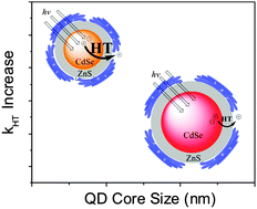 Graphical abstract: Core size dependent hole transfer from a photoexcited CdSe/ZnS quantum dot to a conductive polymer