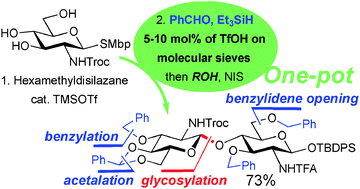 Graphical abstract: One-pot synthesis of d-glucosamine and chitobiosyl building blocks catalyzed by triflic acid on molecular sieves