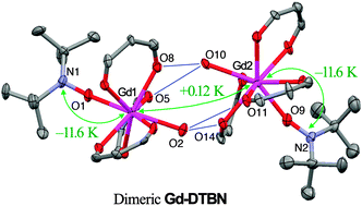Graphical abstract: Preparation and characterization of [Gd(hfac)3(DTBN)(H2O)] (DTBN = di-t-butyl nitroxide). Ferromagnetic Gd3+–Gd3+ super–superexchange