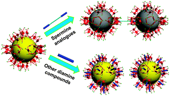 Graphical abstract: Host–guest recognition-induced color change of water-soluble pillar[5]arene modified silver nanoparticles for visual detection of spermine analogues