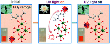 Graphical abstract: Light-triggered reversible sorption of azo dyes on titanium xerogels with photo-switchable acetylacetonato anchors
