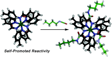 Graphical abstract: Self-promoted post-synthetic modification of metal–ligand M2L3 mesocates