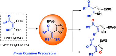 Graphical abstract: Regiodivergent heterocyclization: a strategy for the synthesis of substituted pyrroles and furans using α-formyl ketene dithioacetals as common precursors