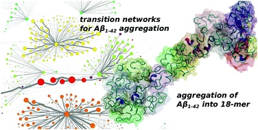 Graphical abstract: Early amyloid β-protein aggregation precedes conformational change
