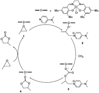 Graphical abstract: A computational study of the mechanism of the [(salen)Cr + DMAP]-catalyzed formation of cyclic carbonates from CO2 and epoxide
