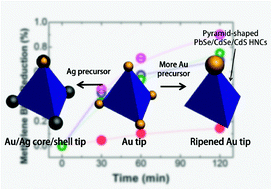 Graphical abstract: Metal tips on pyramid-shaped PbSe/CdSe/CdS heterostructure nanocrystal photocatalysts: study of Ostwald ripening and core/shell formation