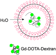 Graphical abstract: Stabilized porous liposomes with encapsulated Gd-labeled dextran as a highly efficient MRI contrast agent