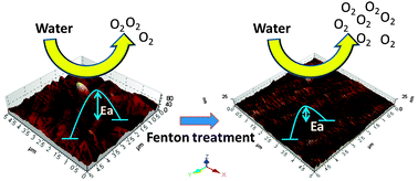Graphical abstract: Oxygen evolution reaction electrocatalyzed on a Fenton-treated gold surface