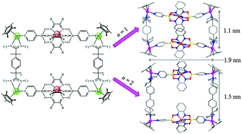 Graphical abstract: Nano-sized heterometallic macrocycles based on 4-pyridinylboron-capped iron(ii) clathrochelates: syntheses, structures and properties
