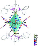 Graphical abstract: Trigonal bipyramidal 5d–4f molecules with SMM behavior