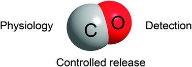 Graphical abstract: Carbon monoxide – physiology, detection and controlled release